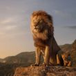 Mufasa: El Rey León