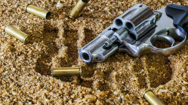 firearm-409252_1280.jpg