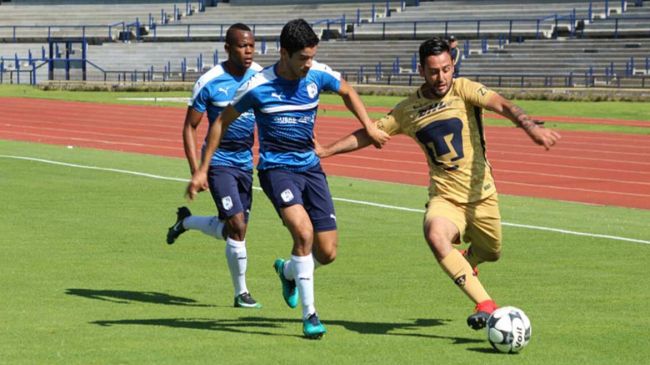 pumas.jpg