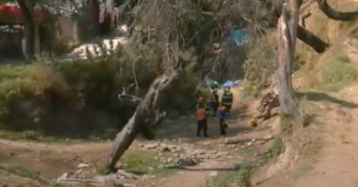 Joven pierde la vida al caer de un barranco en Magdalena Contreras