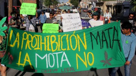 Morena se crispa por la latente creación de la empresa 'Cannsalud'