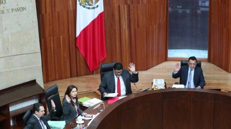 TEPJF determina que Morena puede utilizar encuestas para renovar dirigencia nacional