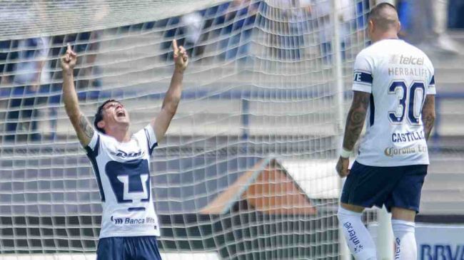 Pumas 1170.jpg