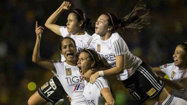Tigres1170_0.jpg