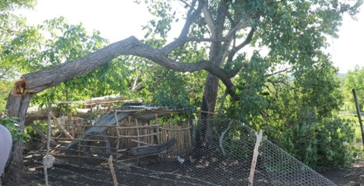 Hombres armados destruyen las casas de 35 familias en Chiapas