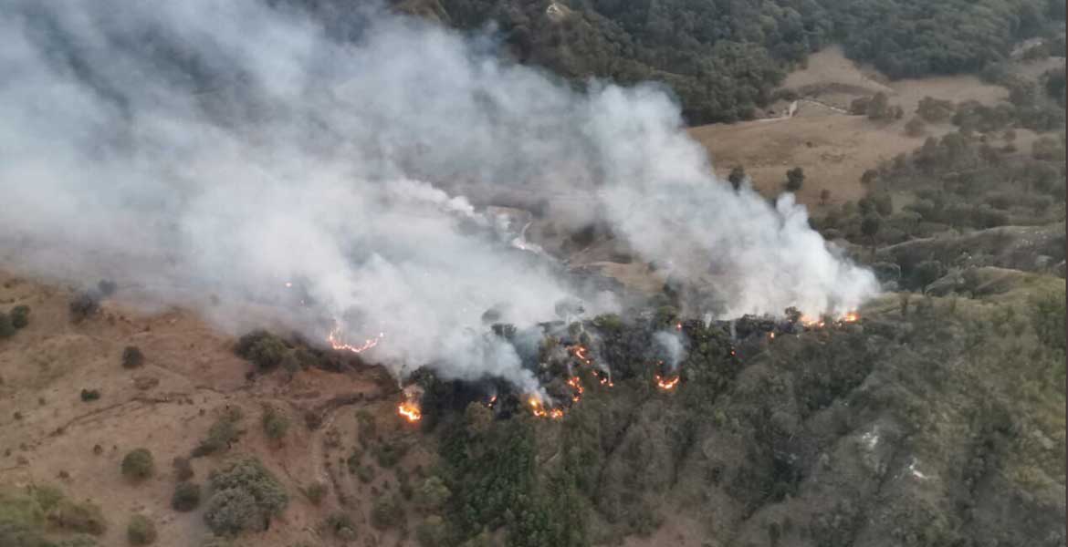Controlan incendio en Bosque La Primavera, Jalisco