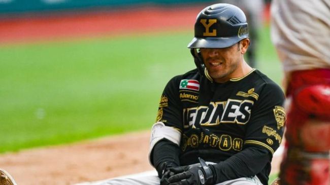 serie del sur beisbol 2019.jpg