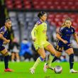 tigres-lider-web.jpg