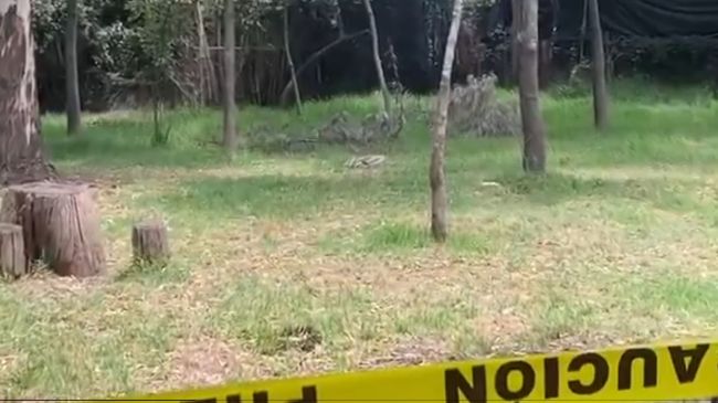 perro_asesinado_xochimilco.jpg