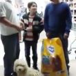perrito-1.jpg