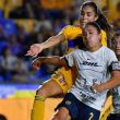 tigres-lider-5.jpg