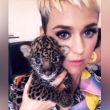 Katy Perry, México, captura.jpg