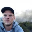 Avicii, facebook,_0.jpg