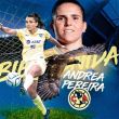 andrea-pereira.jpg