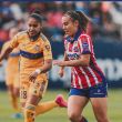 tigres-lider-7.jpg
