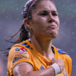 Tigres