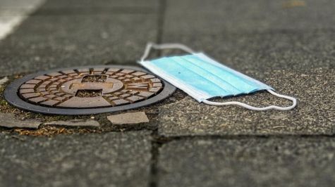 Rescatar el medioambiente: vital para la recuperación en América Latina