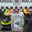 Hallan dulces con cannabis ocultos en una aspiradora en Zacatecas Hallan dulces con cannabis ocultos en una aspiradora en Zacatecas