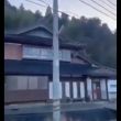 terremoto Japon 7.1 tsunami
