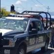 cropw709h592agresion1-focus-0.33-0.11-732-549_1.jpg