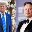 Trump Elon Musk entrevista ataque denegacion
