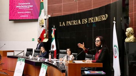 SEP ante el Senado