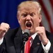 TrumpBerrinchePublicar.jpg