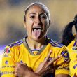 tigres-semis-ok.jpg