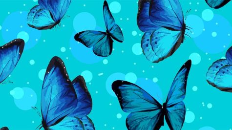 Mariposas