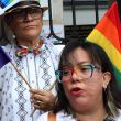 activistas LGBTIQ minorias usurpan politicos