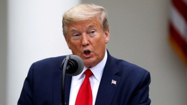 Donald_1_2.jpg