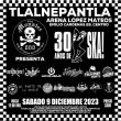 30_anos_de_ska_3.jpg