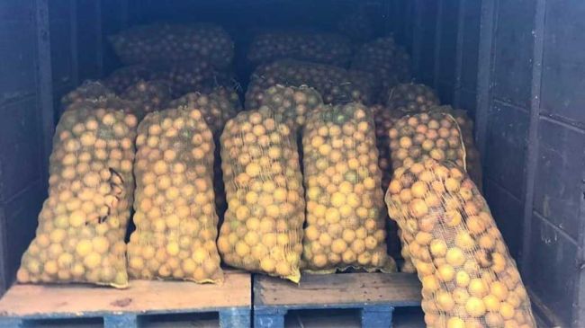 naranjas.jpg