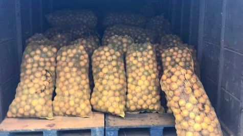 Inició DIF Huixquilucan entrega de 12 mil despensas
