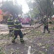 caida_arbol_ermita_benito_juarez.jpg caida_arbol_ermita_benito_juarez.jpg