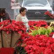 nochebuena-puebla.jpg