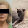 Mujer que arrastró con su camioneta a perrito en Tlaquepaque se va a la cárcel