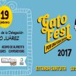 gatofest.jpg
