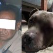 Rescatan en Ecatepec a perro que perdió un ojo tras ser golpeado con un tubo; el agresor fue detenido