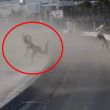 Muere turista avion.jpg