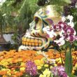 festival_de_flor_de_cempasuchil.jpg