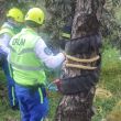 rescate_en_alvaro_obregon.jpg