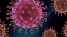 La inmunodepresión es el debilitamiento o la disminución de la actividad del sistema inmunitario, lo que reduce la capacidad del organismo para combatir infecciones, virus y ciertas células tumorales. (Imagen de archivo)
