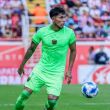 Salcedo