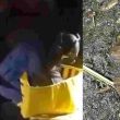 (fotos y video) Hallan explosivo frente a escuela de educación especial en Ecatepec