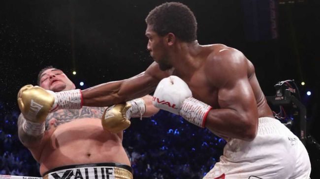Andy Ruiz 2019_0.jpg