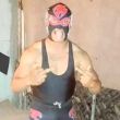Pantera Asesina Jr