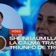 Sheinbaum