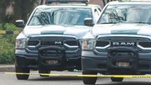 colonia Granada Rio San Joaquin arrollan ladron muere