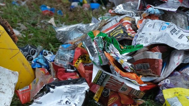 WWF plastico Mexico listado 10 contaminantes